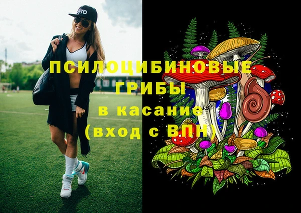 спайс Абаза