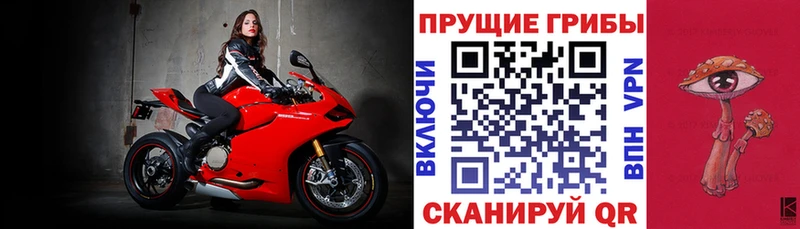 где купить   Елизаветинская  Галлюциногенные грибы ЛСД 