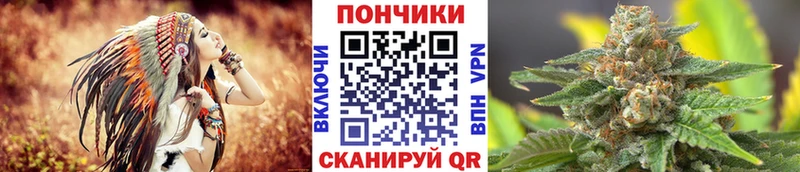 купить наркоту Елизаветинская Бошки марихуана ГИДРОПОН